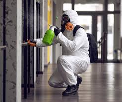 Best Forensic Mold Investigation  in Isle Of Palms, SC